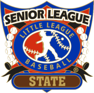 1 1/4" Senior League State Baseball Pin-2811