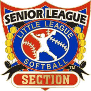 1 1/4" Senior League Section Softball Pin-3081