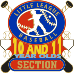1 1/4" 10-11 Section Baseball Pin-2794