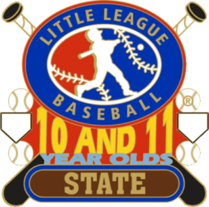 1 1/4" 10-11 State Baseball Pin-2795