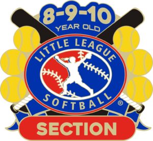 L-510  8-9-10 SOFTBALL SECTION PIN