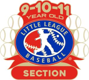 L-596 9-10-11 BASEBALL SECTION PIN