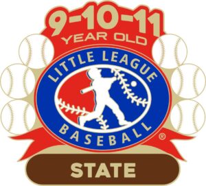 L-597 9-10-11 BASEBALL STATE PIN