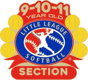 L-602 9-10-11 SOFTBALL SECTION PIN