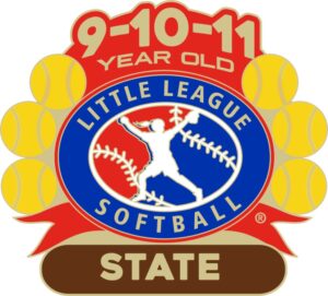 L-603 9-10-11 SOFTBALL STATE PIN