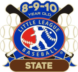 L-505 8-9-10 BASEBALL STATE PIN