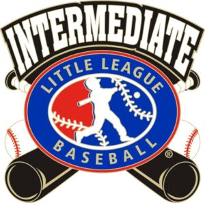 L-715 INTERMEDIATE GENERIC BASEBALL PIN