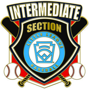 L-133 INTERMEDIATE SECTION