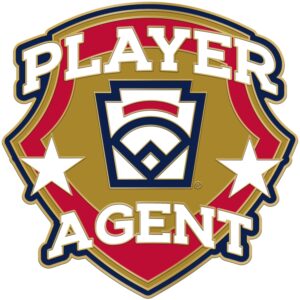 L-222 PLAYER AGENT