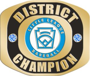 LLR-402 BASEBALL DISTRICT CHAMPION RING-SIZE 10