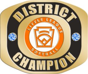 LLR-406 DISTRICT CHAMPION SOFTBALL SIZE 8