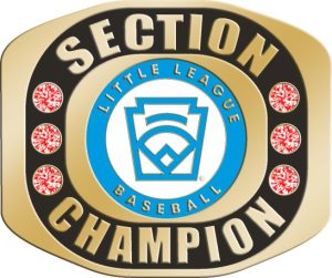 LLR-411 LITTLE LEAGUE BASEBALL SECTION RING Size 10